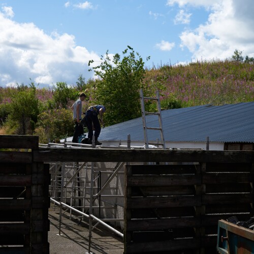 DSC01265 v2